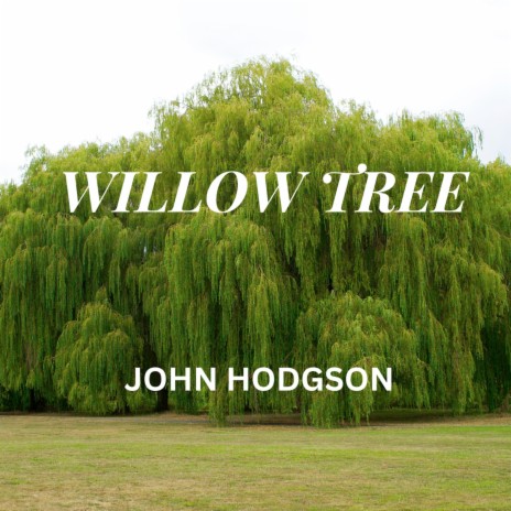 Whistling Willow