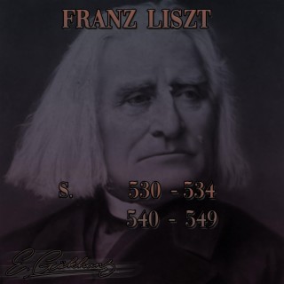 Franz Liszt - S. 530, 531, 532, 533, 534, 540, 541, 542, 543, 544, 545, 546, 547, 548, 549