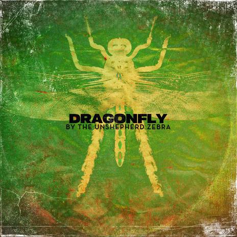 DRAGONFLY | Boomplay Music