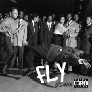 Fly