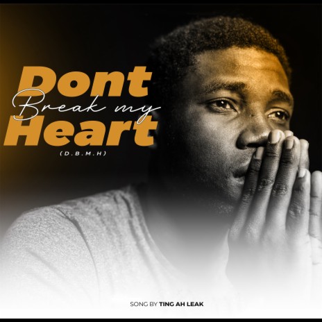 Don't Break My Heart (DBMH) | Boomplay Music