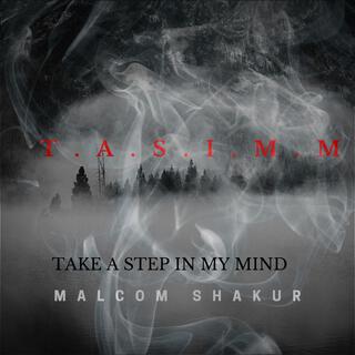 T.A.S.I.M.M(take a Step in My Mind)