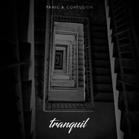 Panic & Confusion | Boomplay Music