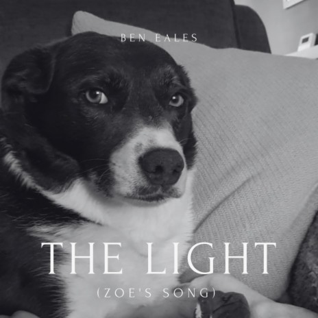 The Light (Zoe's Song) | Boomplay Music