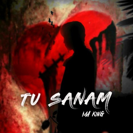 TU SANAM | Boomplay Music