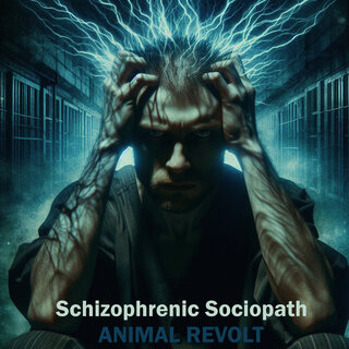 Schizophrenic Sociopath