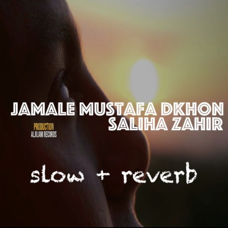 Jamale Mustafa Dkhon | Boomplay Music
