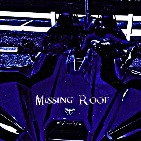 Missing Roof | Boomplay Music