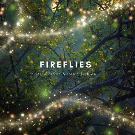 Fireflies ft. Denis Turbide | Boomplay Music