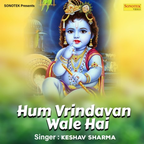 Hum Vrindavan Wale Hai | Boomplay Music