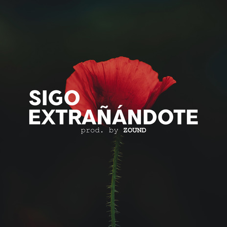 Sigo Extrañándote | Boomplay Music