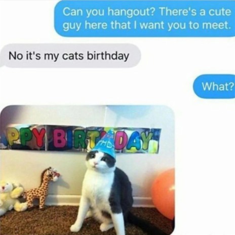 my cat's birthday (sped 75%)