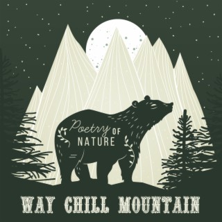 Way Chill Mountain