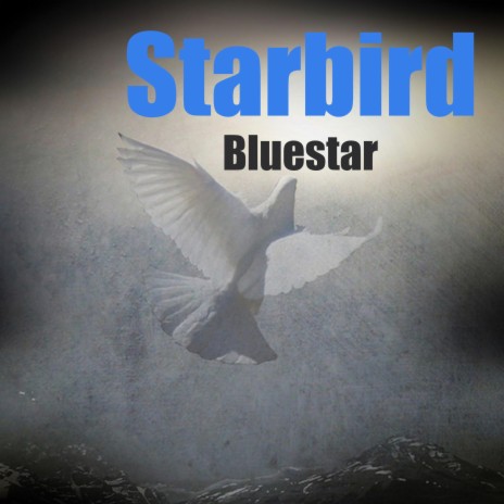 Starbird | Boomplay Music