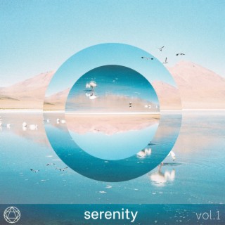 serenity vol. 1