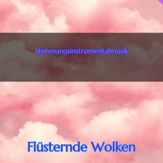 Stimmungsinstrumentalmusik