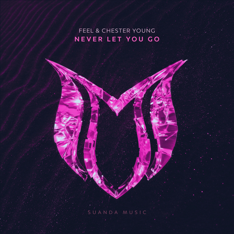 Never Let You Go ft. Chester Young | Boomplay Music