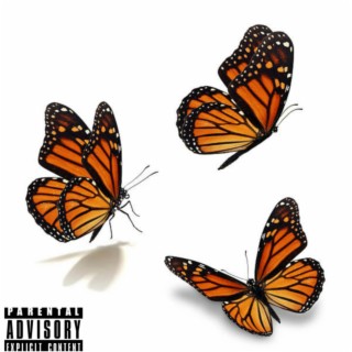 Butterflies (Papillons) lyrics | Boomplay Music