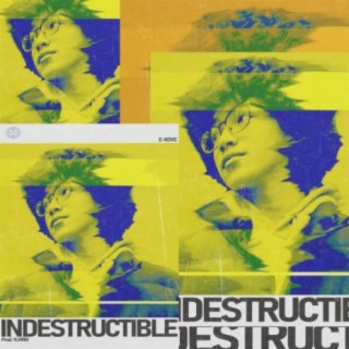 INDESTRUCTIBLE