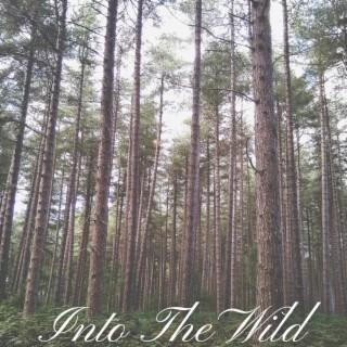 Into the Wild