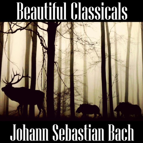 Brandenburg Concerto No- 3 in G Major, BWV 1048 I- Allegro | Boomplay Music