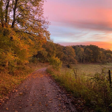 peaceful morning ft. night | Boomplay Music