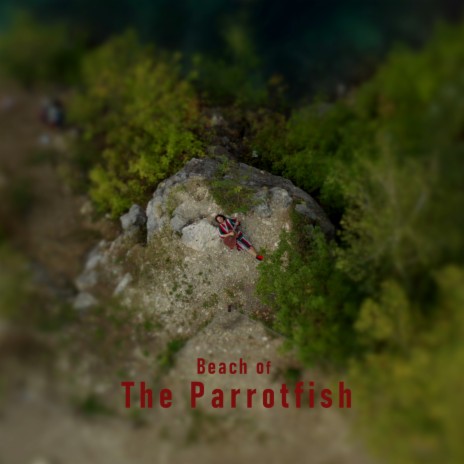 Beach of the Parrotfish | Boomplay Music