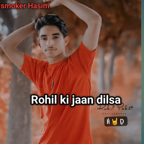 Rohil Ki Jaan Dilsa (Mewati) | Boomplay Music