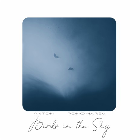 Birds in the Sky | Boomplay Music