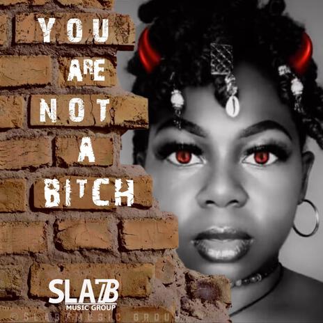 You Are Not A Bitch (No Intro) | Boomplay Music