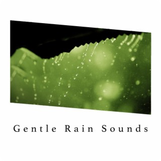 Gentle Rain Sounds