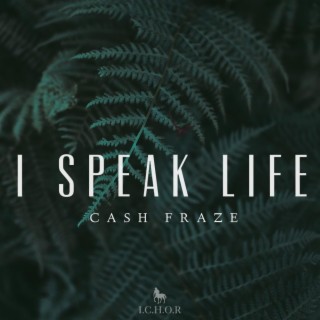 I Speak Life lyrics | Boomplay Music