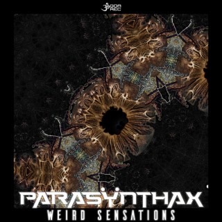 Parasynthax