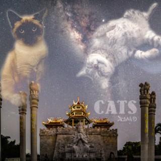 Cats | Boomplay Music