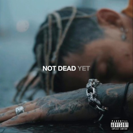 Not Dead Yet | Boomplay Music