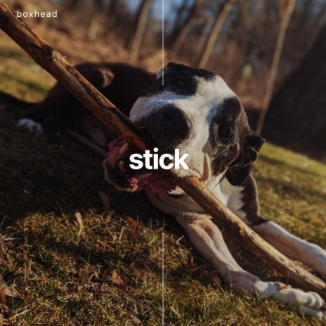 stick | Boomplay Music