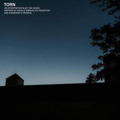 Torn | Boomplay Music