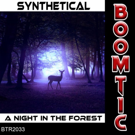 A Night In The Forest (Original Mix)