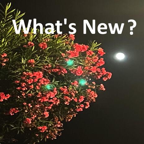 What's New? | Boomplay Music