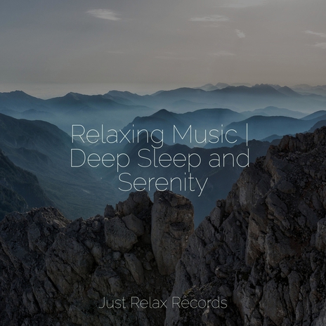 Tranquil Guidance ft. Relaxation & Exam Study Classical Music | Boomplay Music