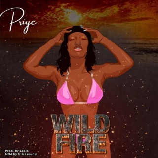 Wild Fire lyrics | Boomplay Music