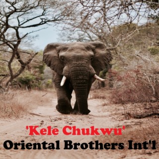 Oriental Brothers Int'l Band