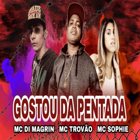 Gostou Da Pentada ft. MC Trovão & Mc Sophie | Boomplay Music