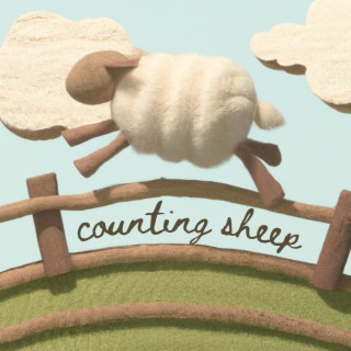 Counting Sheep