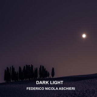 Dark Light (Live)