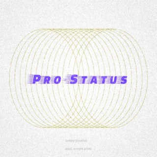pro status lyrics | Boomplay Music