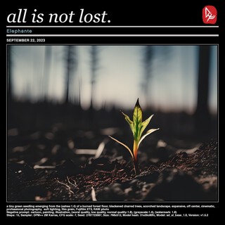 All Is Not Lost