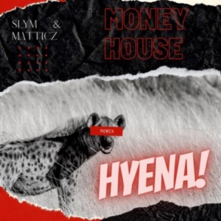 Hyena (Remix)