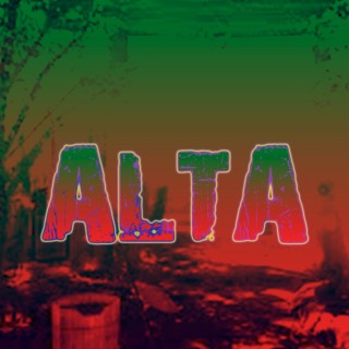 Alta