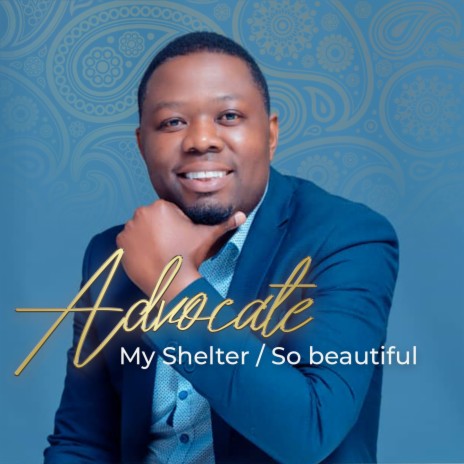 My Shelter (So Beautiful) ft. Buhlebenkhosi Dlamini & Nhlakanipho Dlamini | Boomplay Music